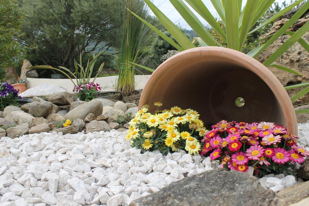 Maria Caderina Green Village Posada  Ngoại thất bức ảnh